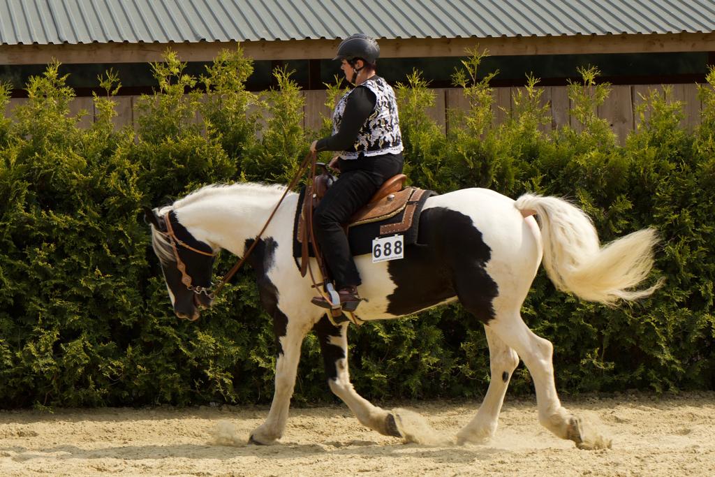 Reiten